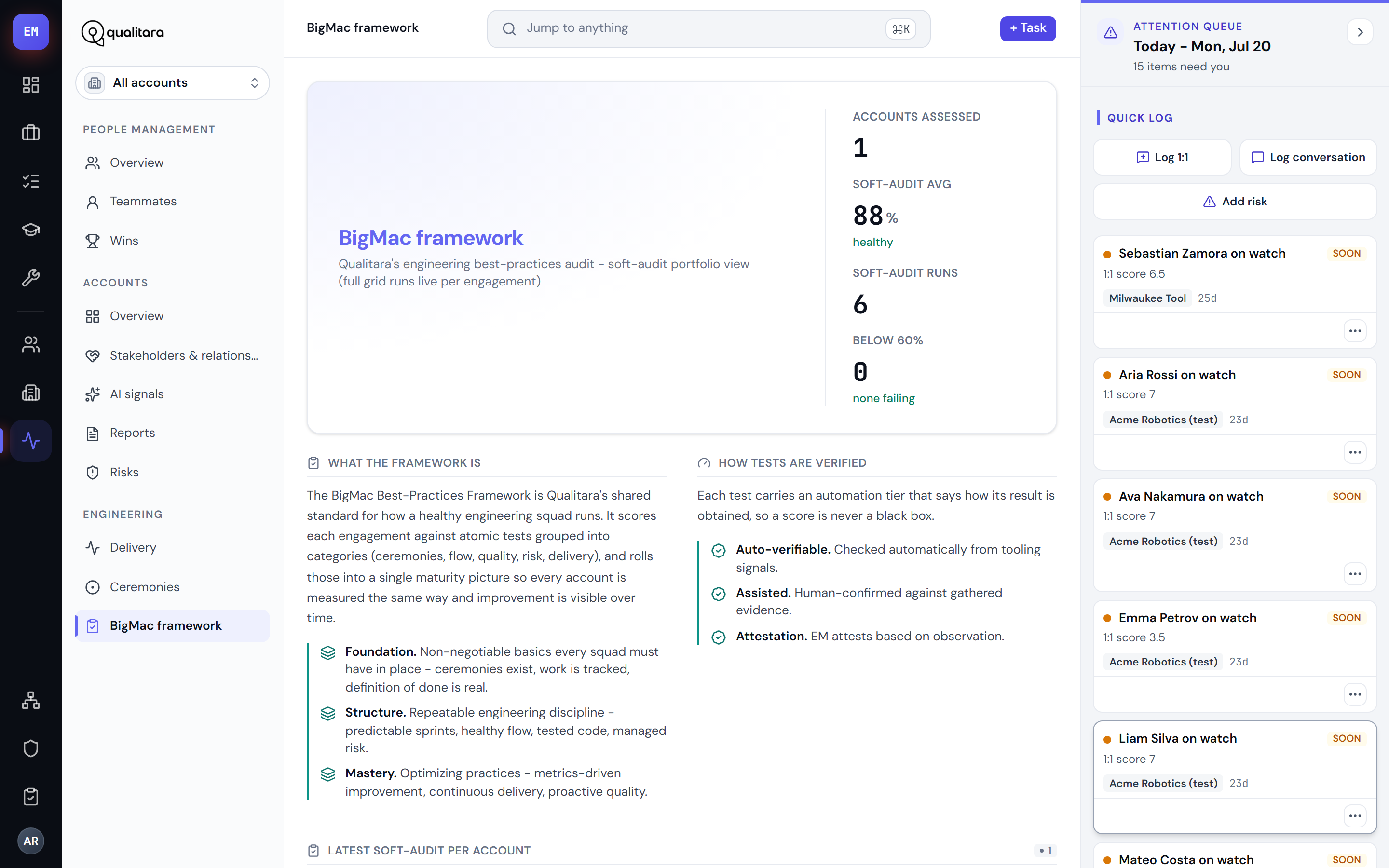 The BigMac framework soft-audit portfolio view